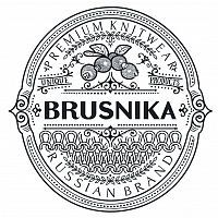 лого ООО Брусника Восток